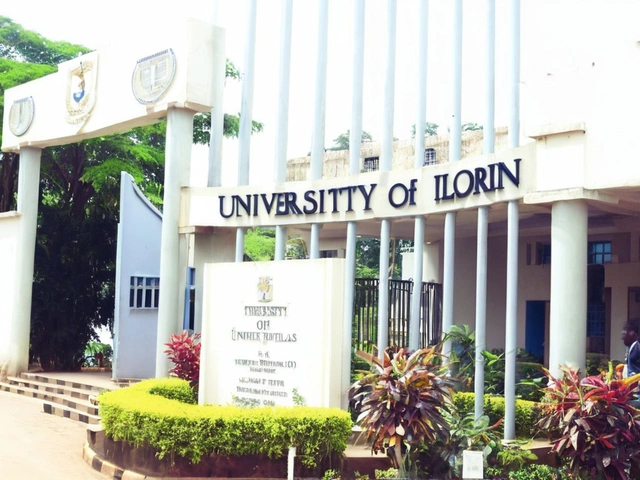 Tragic Auto Crash on University of Ilorin Campus Claims Life